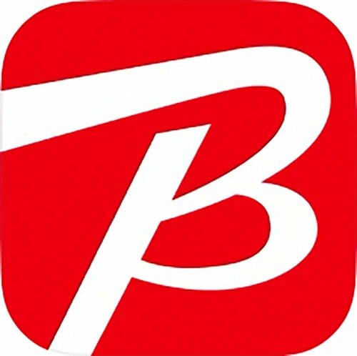 ビックカメラ 月のおこづかいの節約術おすすめ イメージ