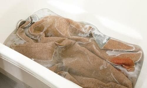 洗濯あるある11：カーペットはさすがにキツイ？ イメージ3