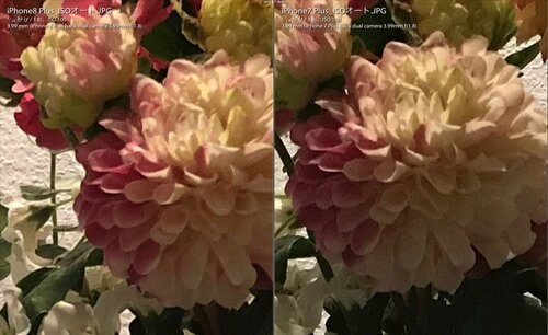 【比較②】コントラストは「8」が「7」よりちょっと優秀でした