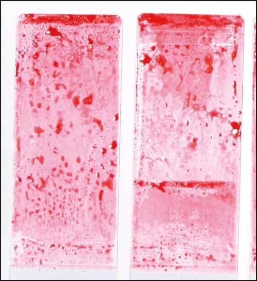 洗浄力 ボディソープおすすめ イメージ