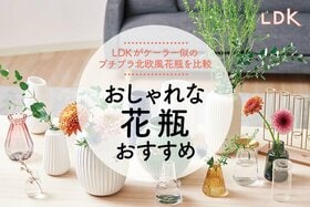 おしゃれな花瓶のおすすめ7選。北欧陶器ブランドで人気のケーラーやIKEAをLDKが比較