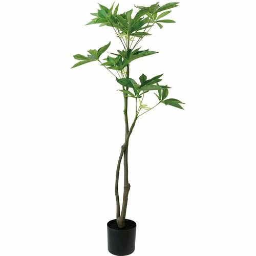 LDKベストバイ収納アイテム・インテリア雑貨おすすめ ニトリ フェイクグリーン(パキラ 120cm) イメージ1