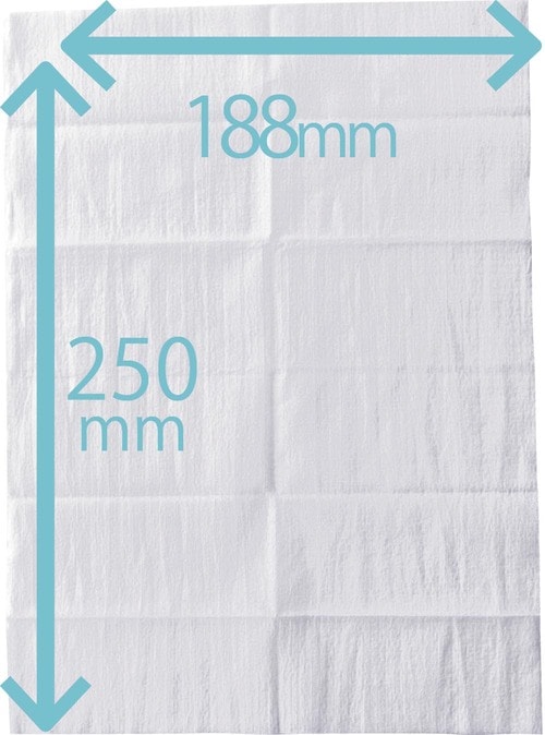 マンダム「ギャツビー アイスデオドラントボディペーパー 無香料」 イメージ3