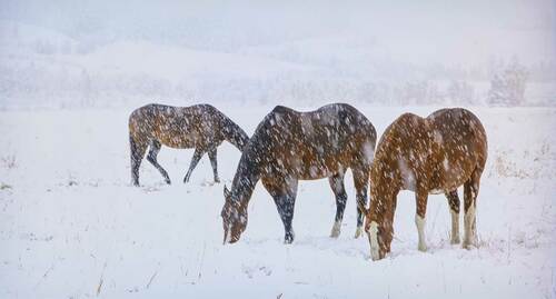 背景まで白飛びせずにはっきり描く 家電ベストバイ オブザイヤーおすすめ イメージ