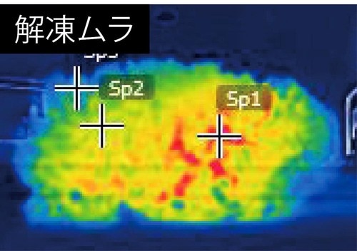 解凍ムラ ご飯冷凍容器おすすめ イメージ