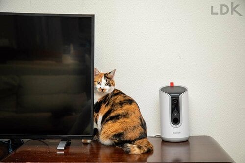 選び方1：カメラを動かせるか ペットカメラおすすめ イメージ