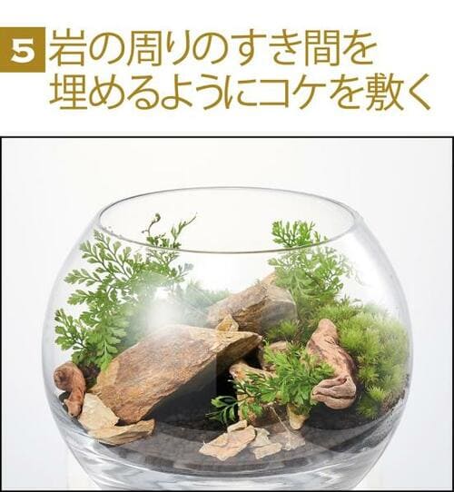 コケリウム初挑戦でも15分でできる！ イメージ5