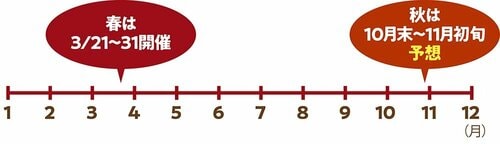 最近の無印週間は年2回のペース 無印良品のおすすめおすすめ イメージ