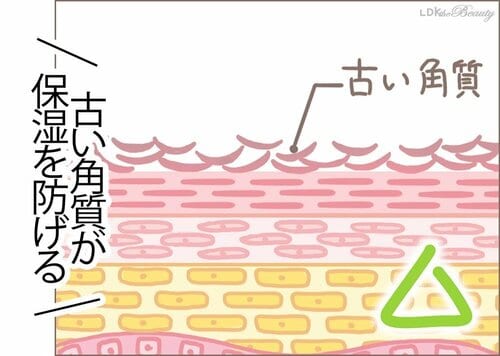 リップスクラブを使えば唇の保湿がより効果的に！ イメージ
