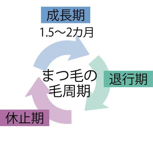 Q4. 1本使って効果がないものは見限るべき?