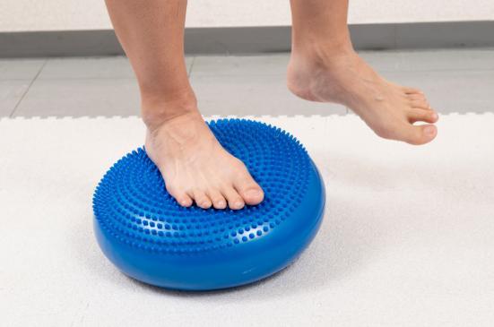 プロトレーナー厳選 バランスディスクのおすすめランキング22選 人気商品を徹底比較 360life サンロクマル
