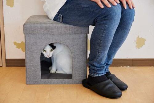 ニトリ「座れる室内用ペットハウス」2