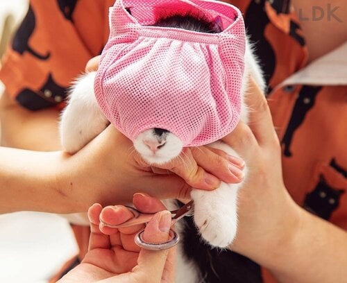 粘着テープ採用でサイズ調整がしやすい 猫用爪切り補助具おすすめ イメージ