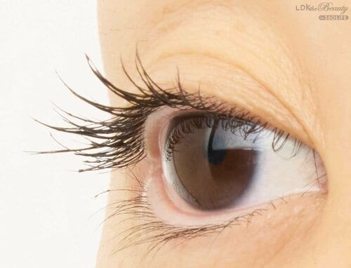 仕上がり マスカラおすすめ イメージ