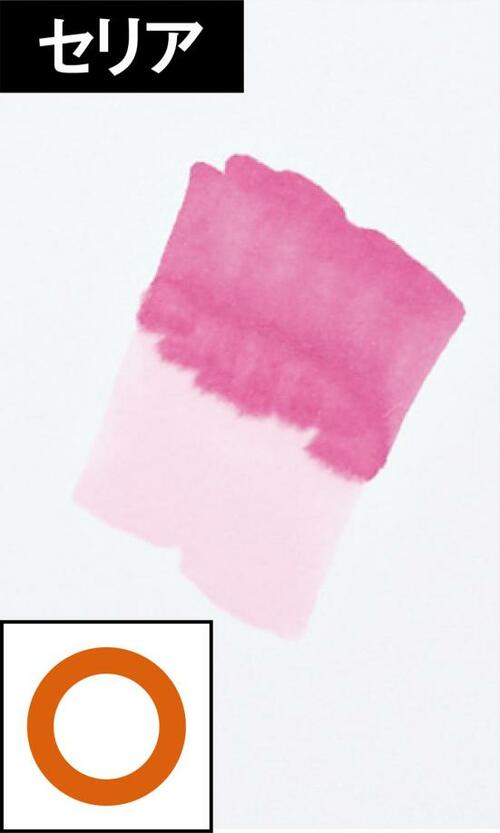 ペン先は柔らかめセリアはにじみやすさが残念 イメージ2