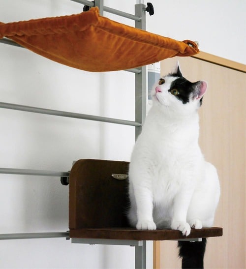 ハンモック以外はくつろぎにくい キャットタワーおすすめ イメージ