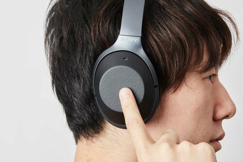 「音質も捨てがたい…」ならソニーでもアリです イメージ