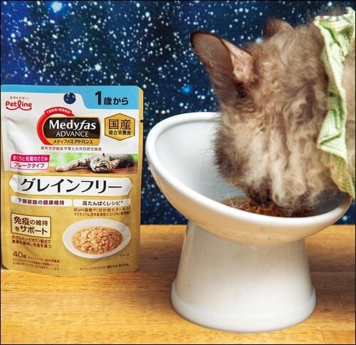 たんぱく質が多すぎず健康をサポートする成分も配合 猫用ウェットフードおすすめ イメージ