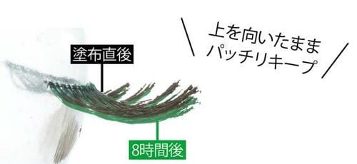 ベストのワケ:8時間後もまつげが下がらない! イメージ