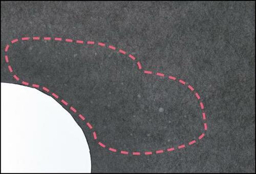 C評価: ニトリ「油はね防止ネット 30cm」