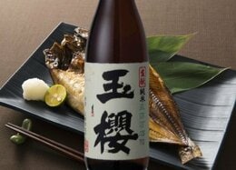 昔ながらの生もと仕込み！ 酒販店がおすすめする日本酒「玉櫻」｜目利きが選ぶ日本酒グランプリ【端正＆穏やか編】