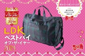 帰省土産、たっぷり買ってOK！ 理想の携帯折りたたみバッグはシフレ【LDKベストバイ2024】