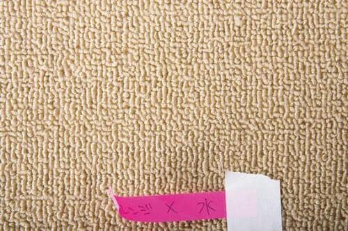 コーヒーオレンジジュースは洗剤なしでOK イメージ4