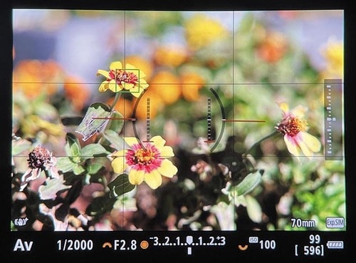 キヤノン「EOS R3」の検証結果 イメージ