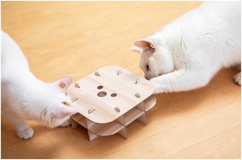 羽根を捕まえようとネコたちが交互にパンチ 猫用おもちゃおすすめ イメージ