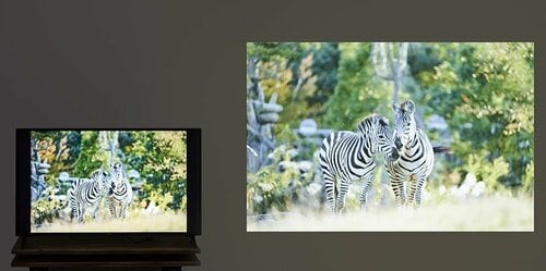 ポイント1：テレビと比べると迫力が段違い イメージ