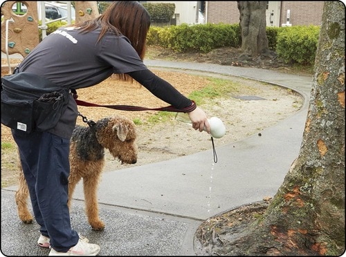 マナー水洗するのも困難 犬用給水ボトルおすすめ イメージ