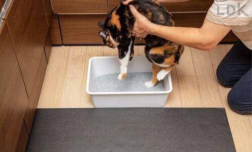 飛び散りにくさのテスト方法 猫砂おすすめ イメージ
