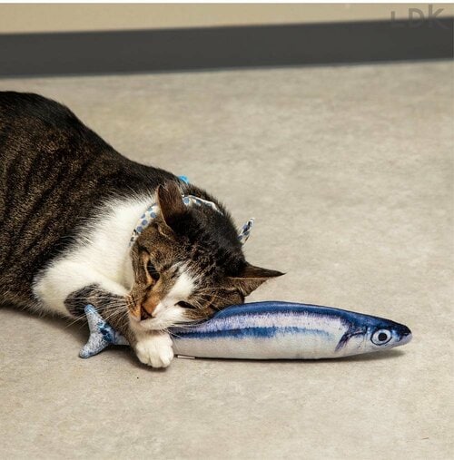 中にまたたびがぎっしり！ 猫用おもちゃおすすめ イメージ
