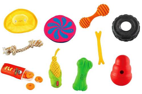 LDKが犬用おもちゃをテスト 犬用おもちゃおすすめ イメージ