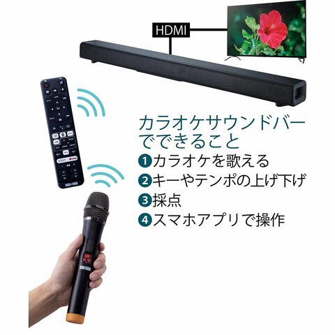新品未開封　KARA✖️KARAカラオケ　サウンドバー ワイヤレスマイク2本付き 61tNkR0sx1L._UF894,1000_QL80_.jpg