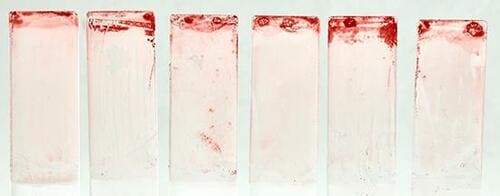 洗浄力十分の除菌タイプ“除菌ジョイコンパクト”