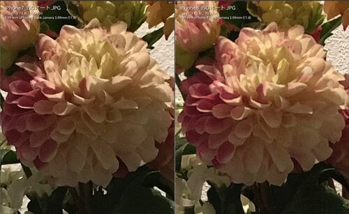 【比較②】コントラストは「8」が「7」よりちょっと優秀でした