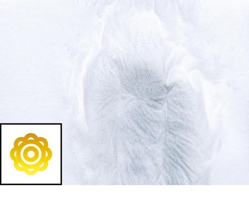 【耐水性】 増毛パウダーおすすめ イメージ