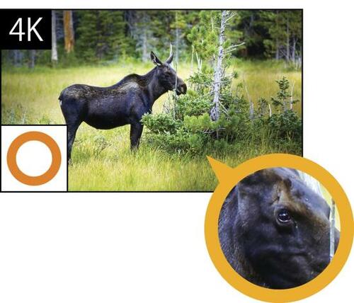 自然な色合いを表現！ イメージ