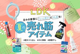 【もう髪を振り乱さない】夏の家事ストレスを打破！ LDKおすすめの“いま買っておくべき”日用品10選