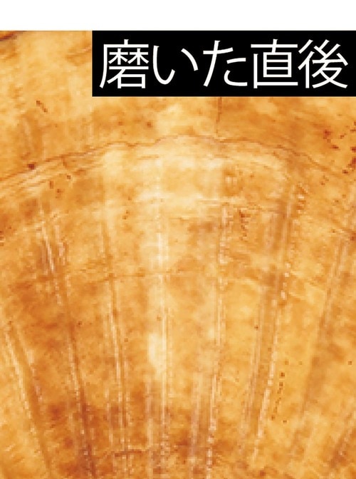 ホワイトニング力：多少の色変化は見られた 紫歯磨き粉おすすめ イメージ