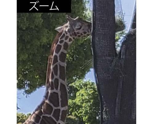 サムスン「Galaxy S21 5G」 イメージ3