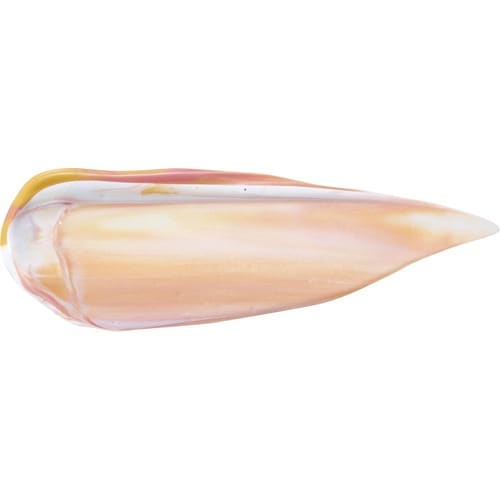 クッションファンデおすすめ ディエム クルール カラートリックマルチクッションファンデーション/Natural イメージ3