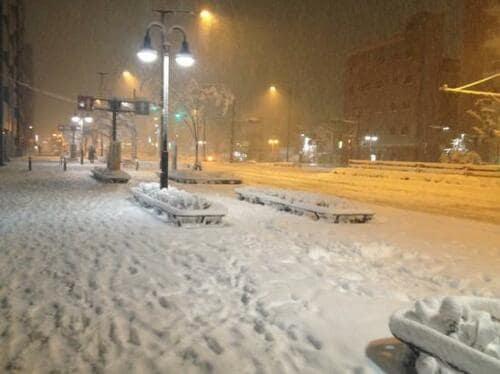 雪が積もった道