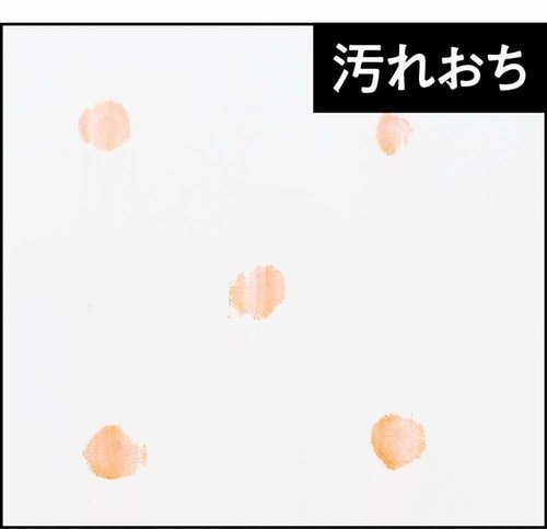 弱い汚れは落ちた！ 流せるトイレクリーナーおすすめ イメージ