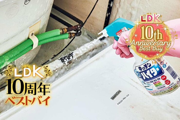 頼れる最強洗剤！ 水回りのヌメリ・カビ対策はやっぱり「泡ハイター」でした【LDK10周年ベストバイ】