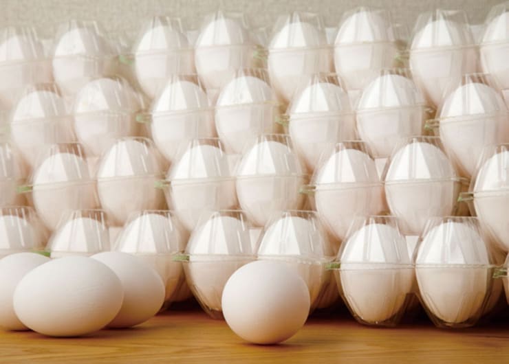 賞味期限が過ぎてもOK? 意外と知らない卵のキホン8選