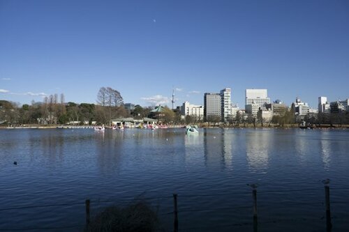 風景撮影で遠景の解像力をチェック!