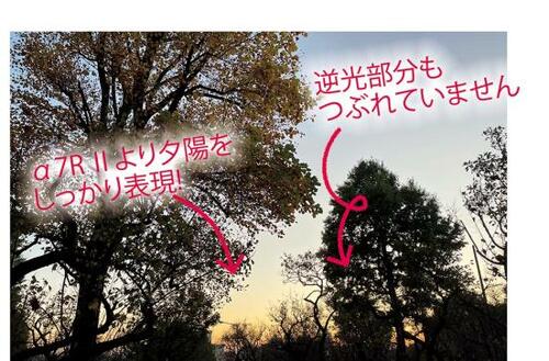 ベストな理由3:スマホには不可能な美しいボケや色表現 イメージ