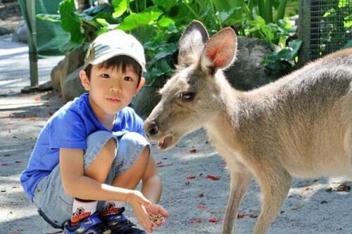 今、絶対に会いに行きたい動物園&水族館